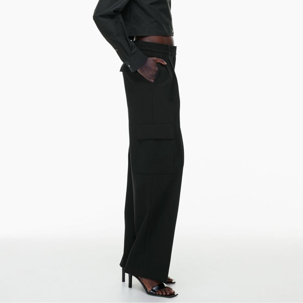 Aritzia Babaton Spotlight Cargo Pants